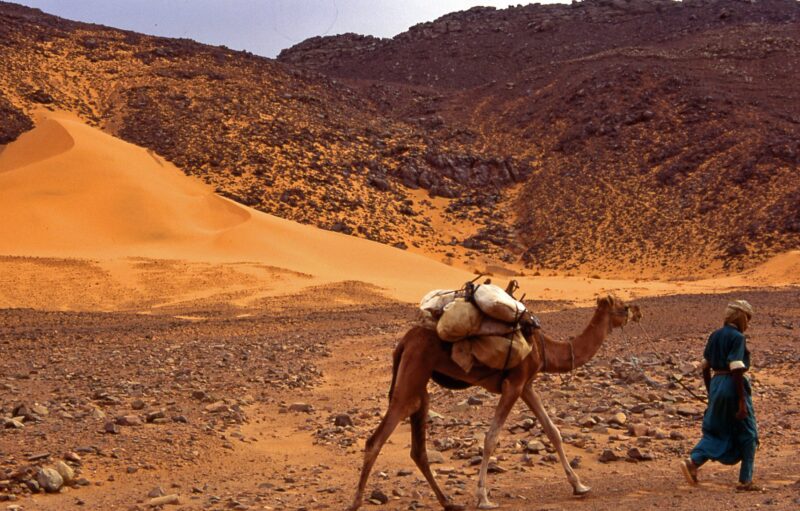 Algeria
