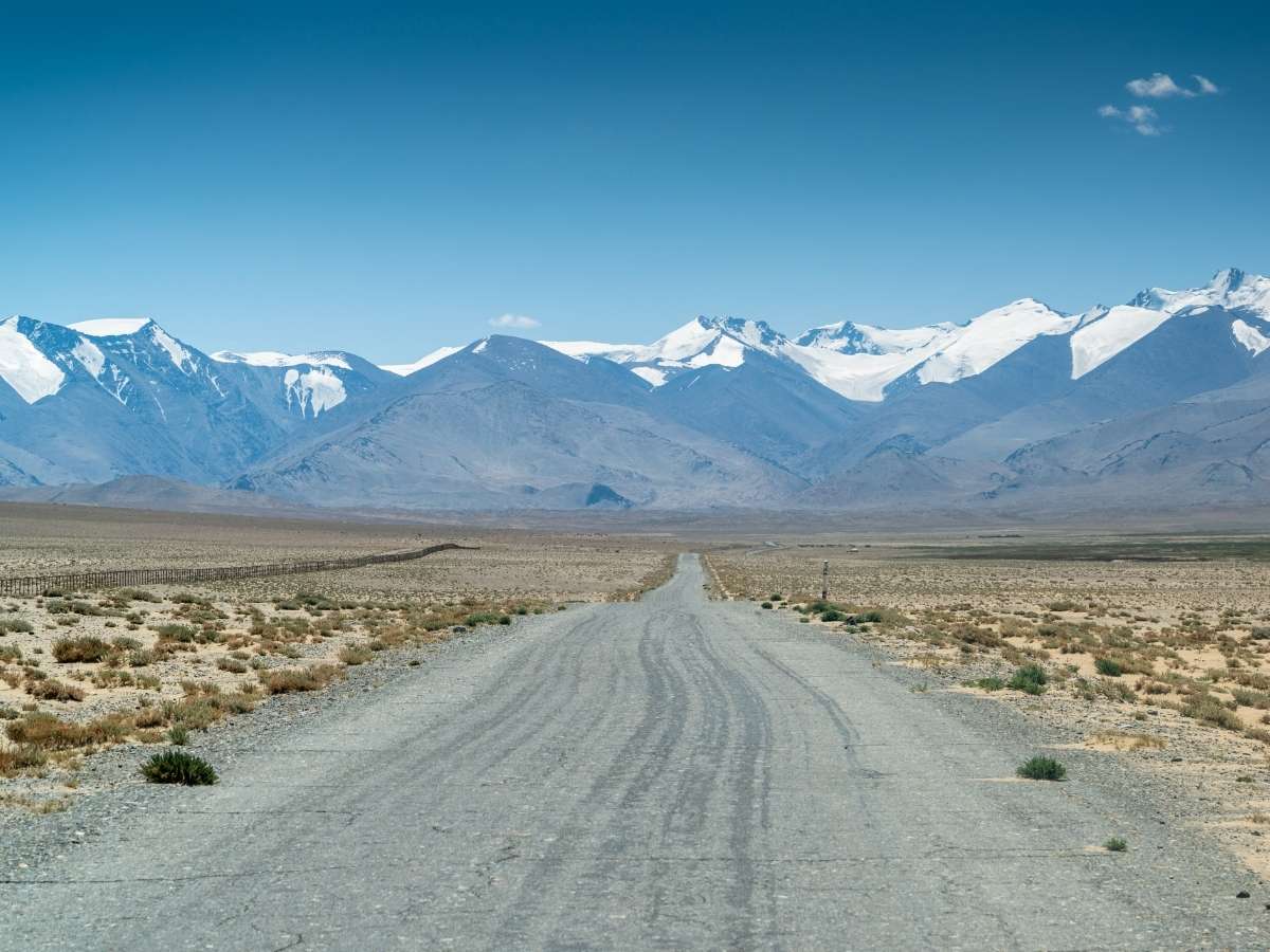 Image link