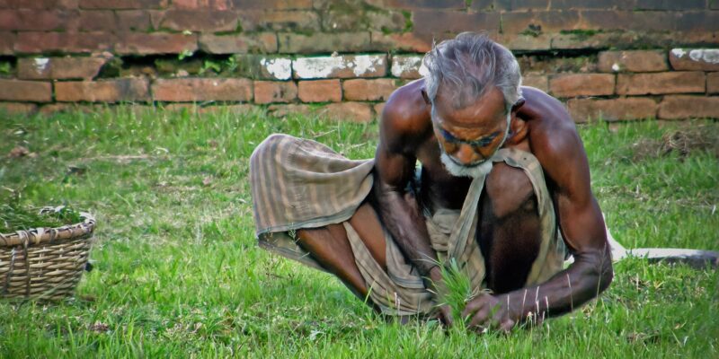 Bangladesh Discovery