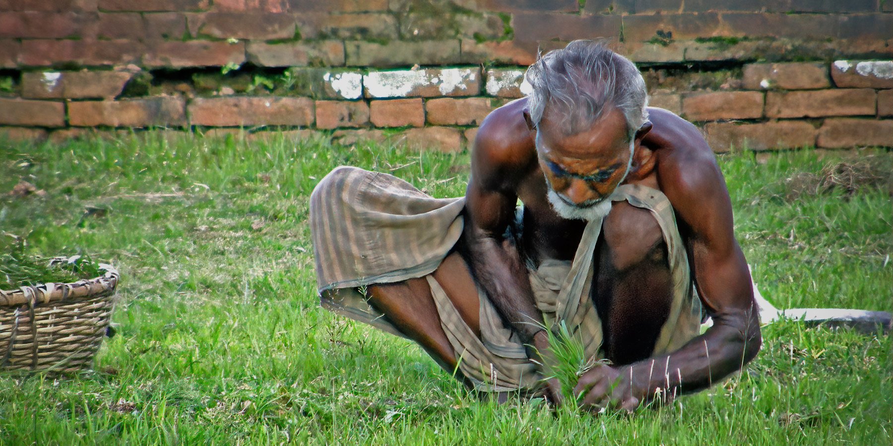 Image link