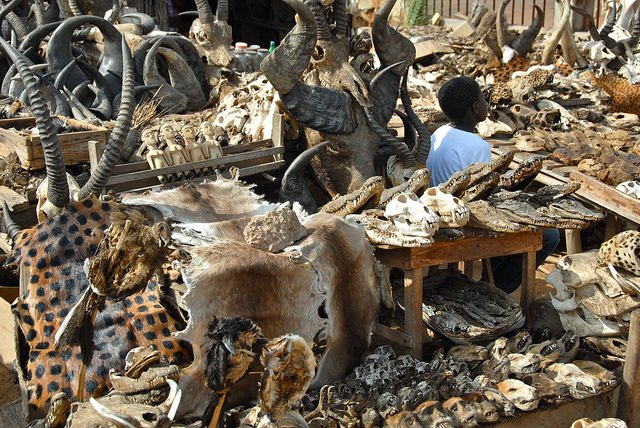 Explore the buzzling Togolese capital, Lome and take a stroll around the city’s unique fetish markets