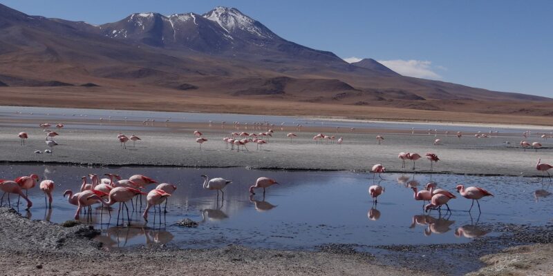 Bolivia
