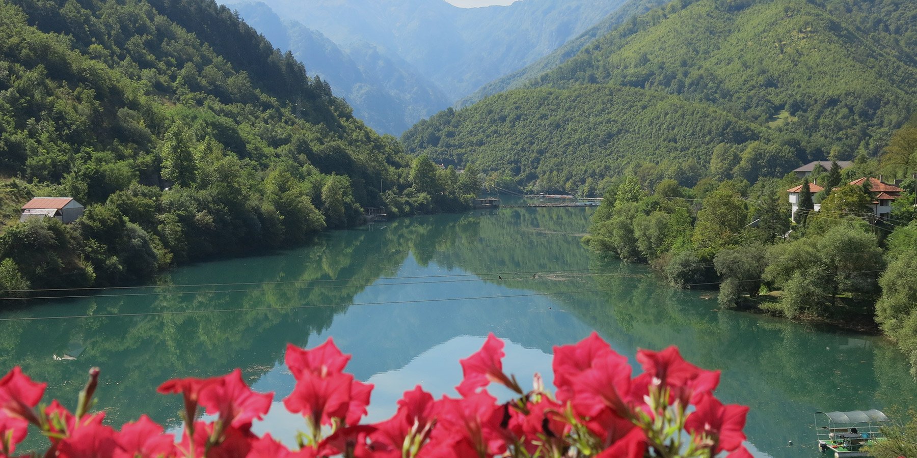Image link
