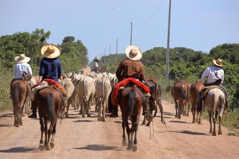 Enjoy wildlife excursions travelling by land and water