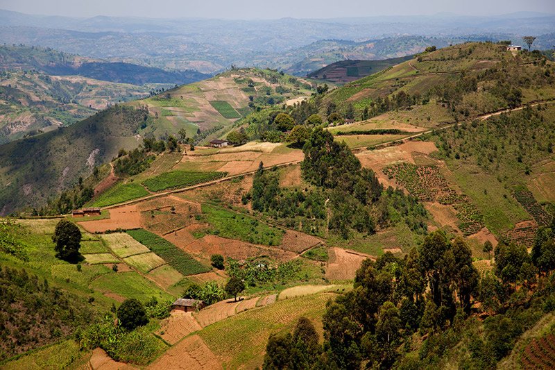 Search for wildlife in Rusizi National Park