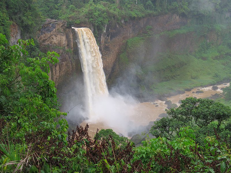 Relish the verdant beauty of the Cameroon countryside.