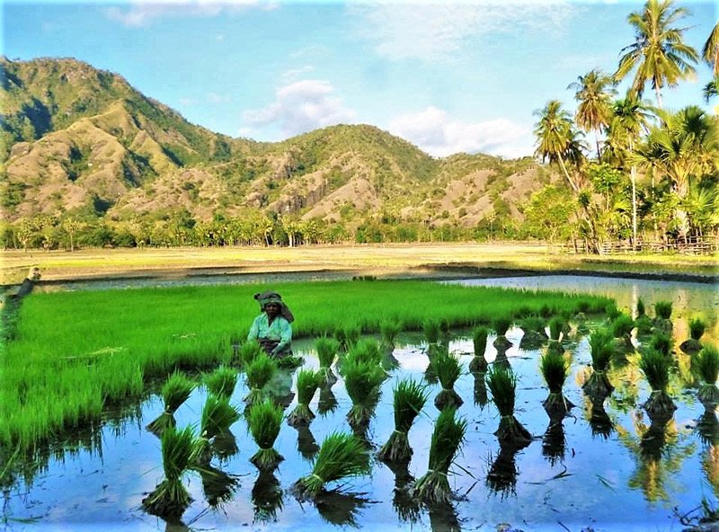 Climb Mt Ramelau, for superb views from the highest peak on the island