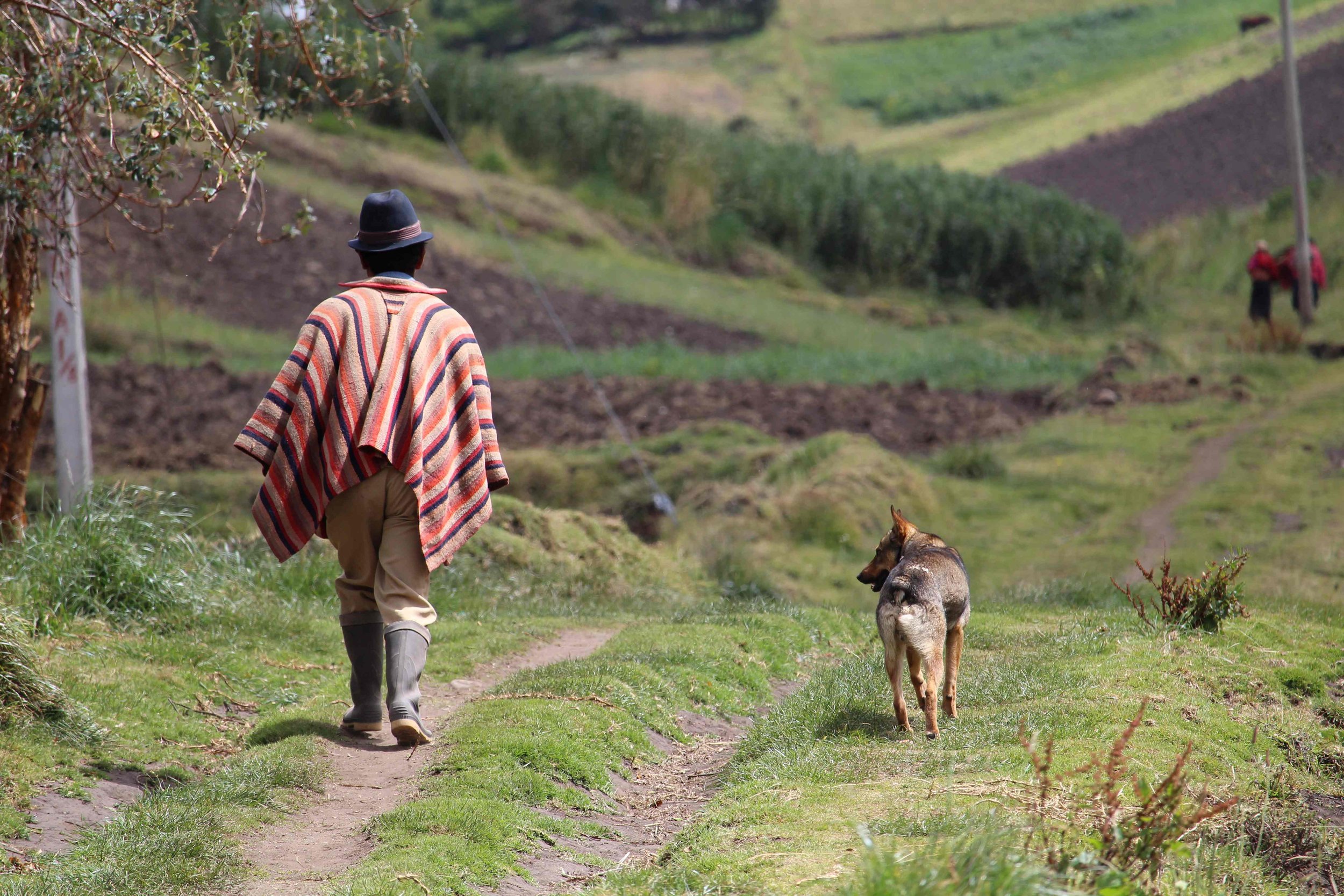 Enjoy walks in magnificent Andean scenery and the Avenue of the Volcanoes