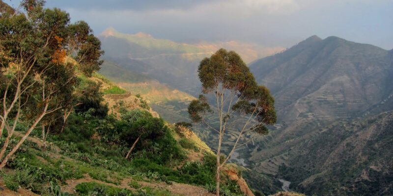 Eritrea Discovery