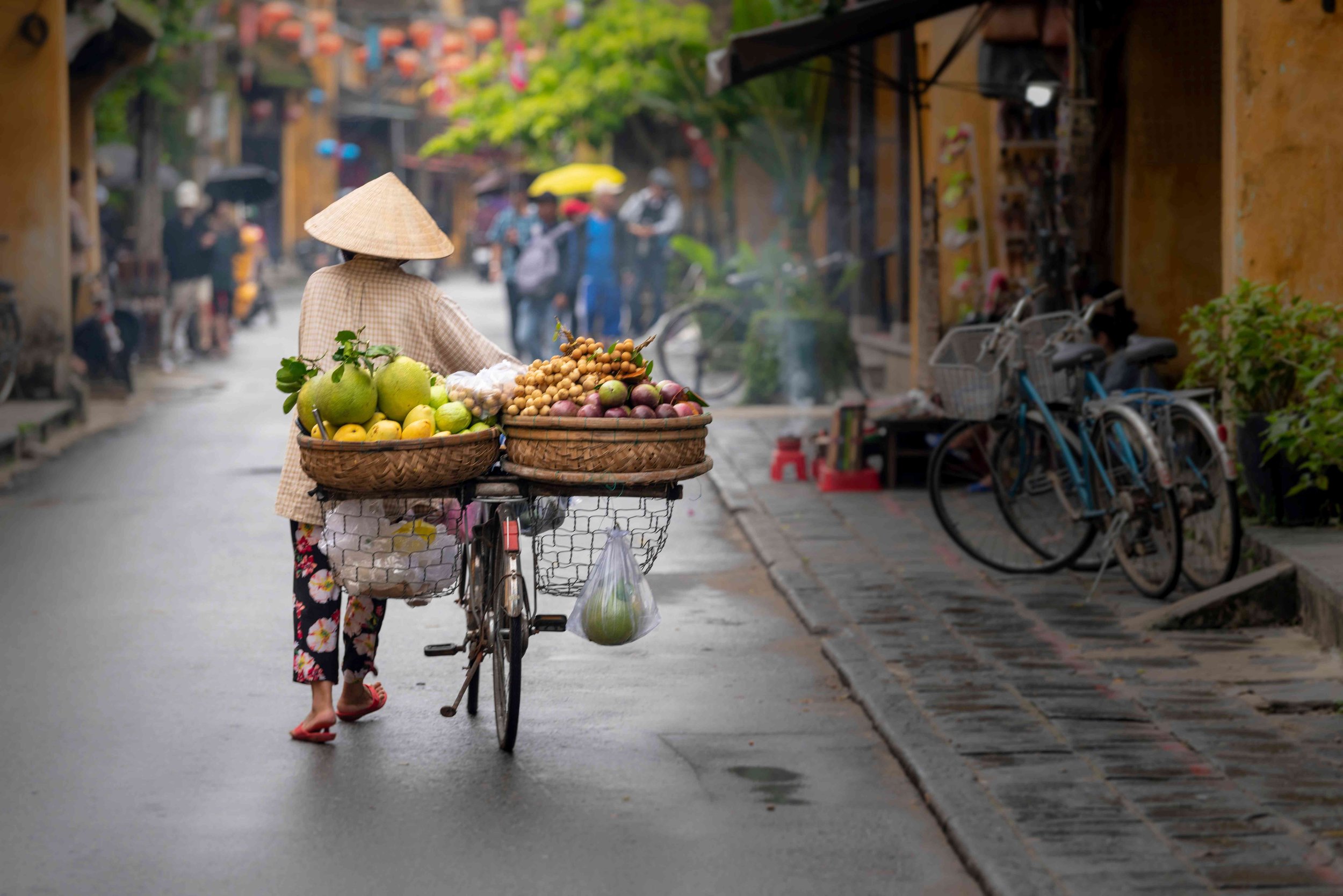 Explore the country from north to south taking in many of the highlights