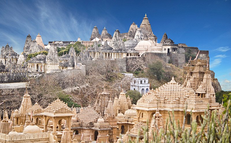Experience India's rich and diverse wildlife through its array of distinctive landscapes
