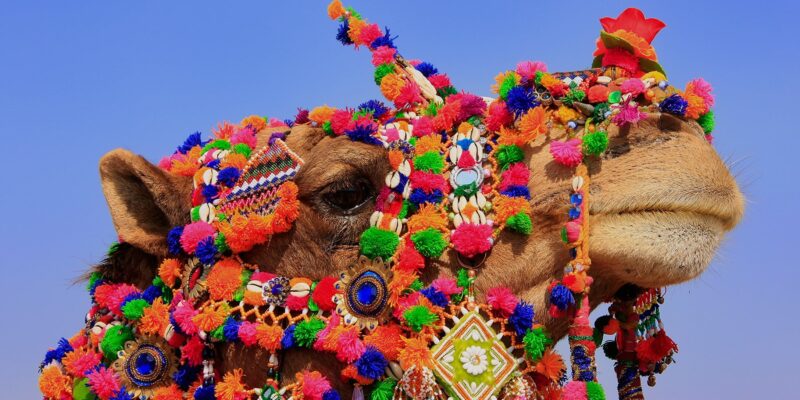 India