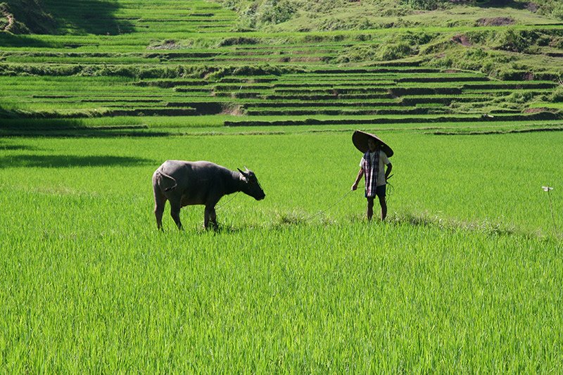Discover Sulawesi’s sheer beauty and variety of the landscapes offered 