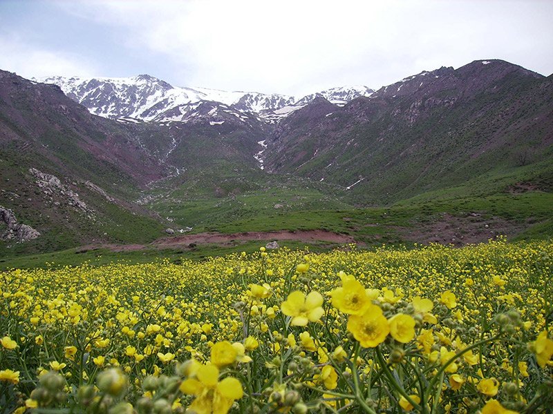 Uncover the fascinating Kurdistan region