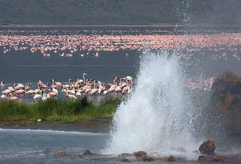 Admire mighty Lake Turkana, the largest desert lake in the world