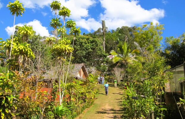 Why You Should Consider a Madagascar Tour This Year