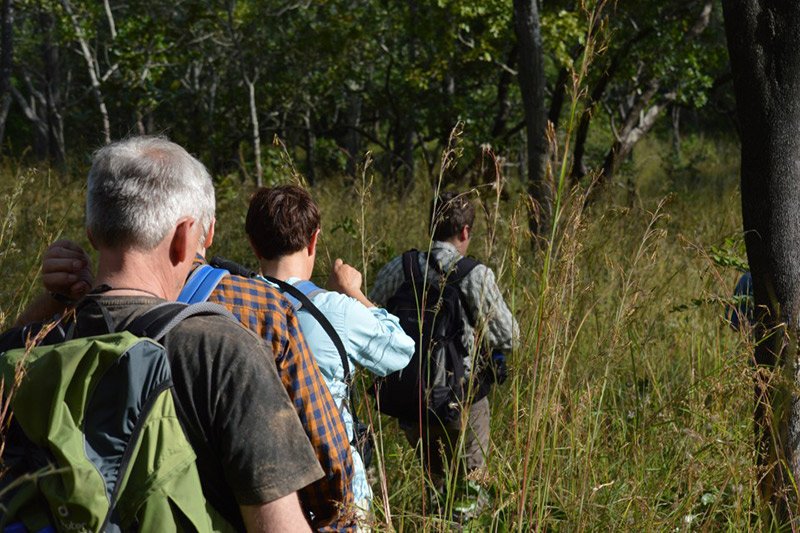 Search for big game in Zambia’s South Luangwa National Park,  one of Africa’s most unspoilt and off-the-beaten-track destinations