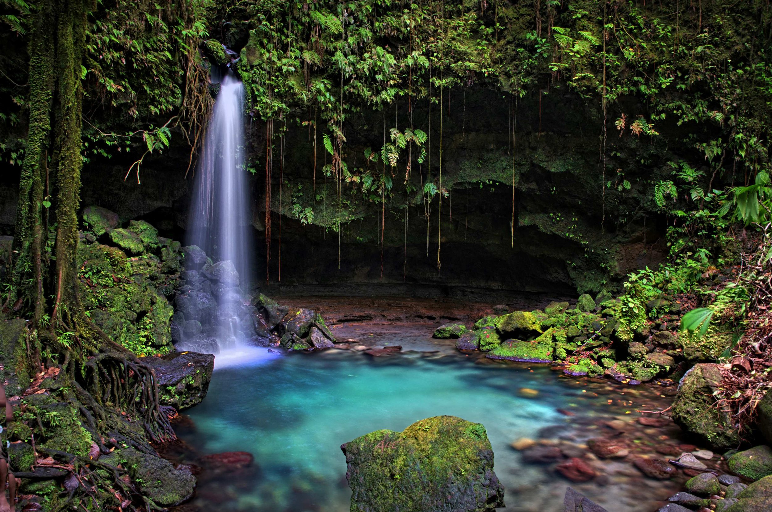 Explore the lush rainforests and natural hot springs of Dominica - often called the “Nature Island” due to its diverse flora and fauna and extensive natural parks