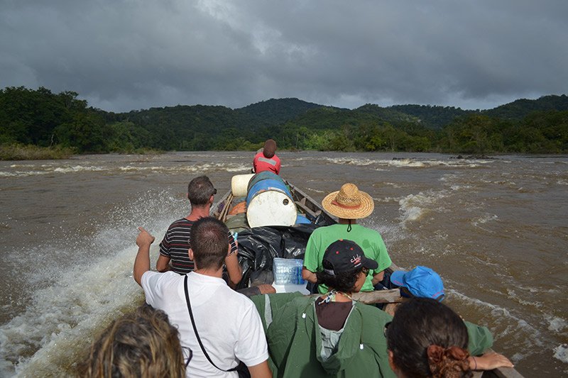 Discover the pristine rainforest of Iwokrama