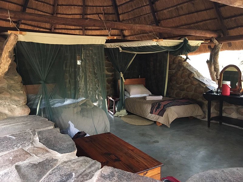 Stone Camp where the vegetation comprises of tall fig, leadwood, sausage and knob thorn trees, with a lush under-canopy giving it a year round subtropical appearance