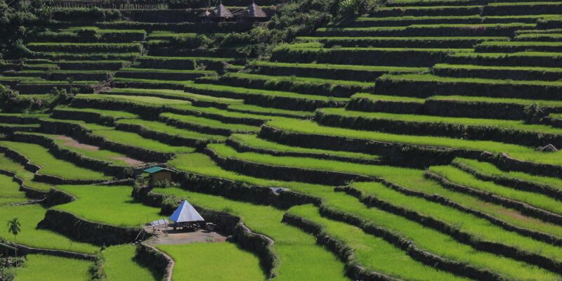 The Emerald Terraces of the Cordillera