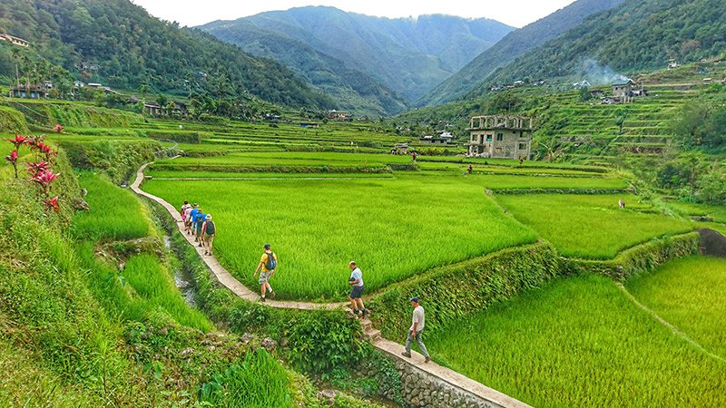 Soak up the vivid colours of the stunning rice terraces of Banaue
