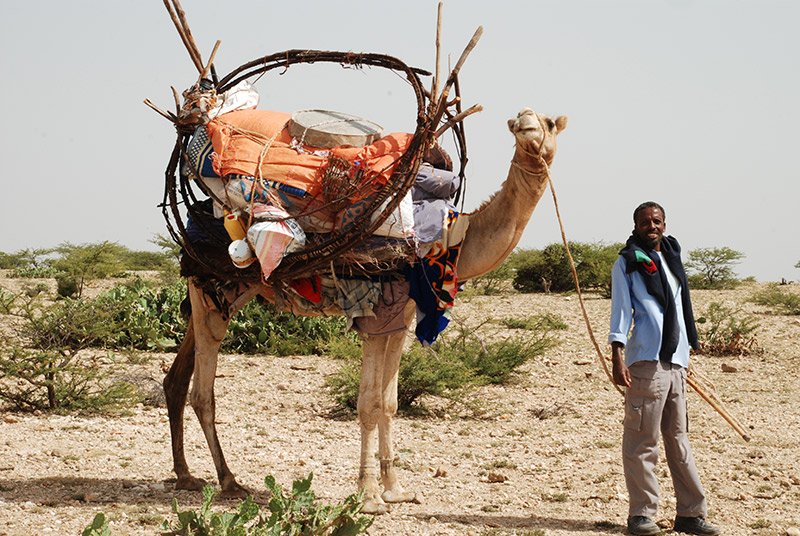 Explore Hargeisa, the capital and visit the markets