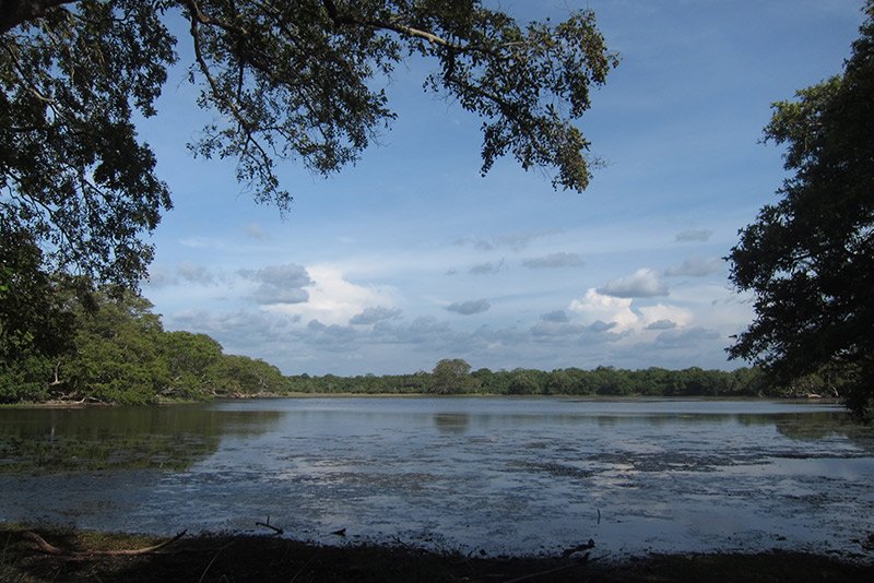Experience the isolated and little visited windswept island of Mannar 