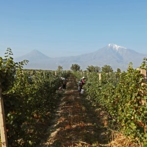 Wander and Wine: The Armenian Way