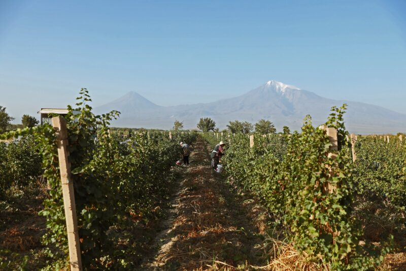Wander and Wine: The Armenian Way