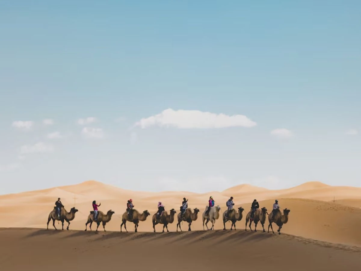 Desert Safari Oman: Why It Should Be on Your Bucket List