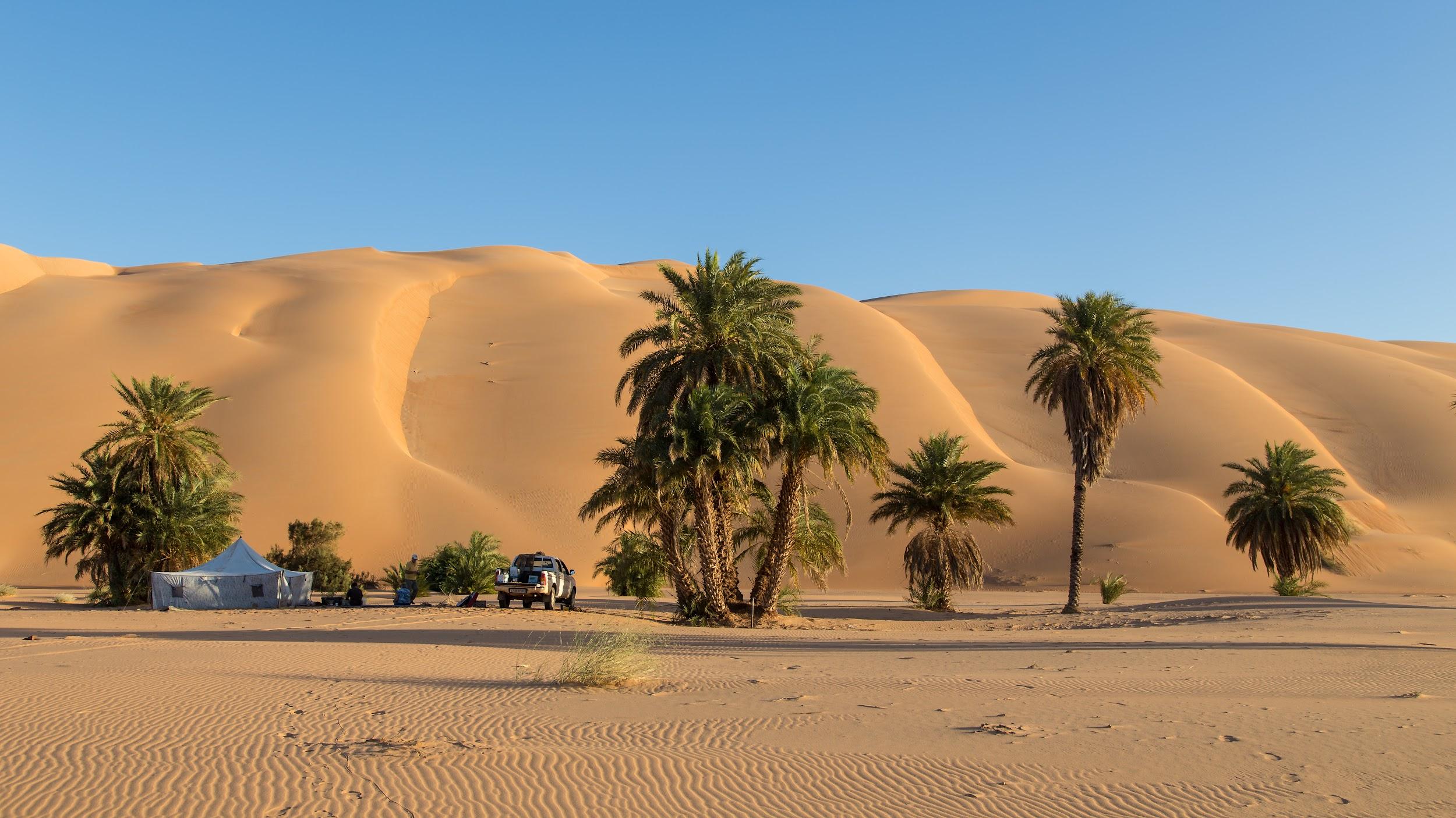 The towering dunes of Azoueiga, a spectacular sweep of golden Sahara sand sculpted by the wind.