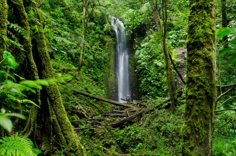 Misty trails and rich biodiversity in Panama’s enchanting cloud forest