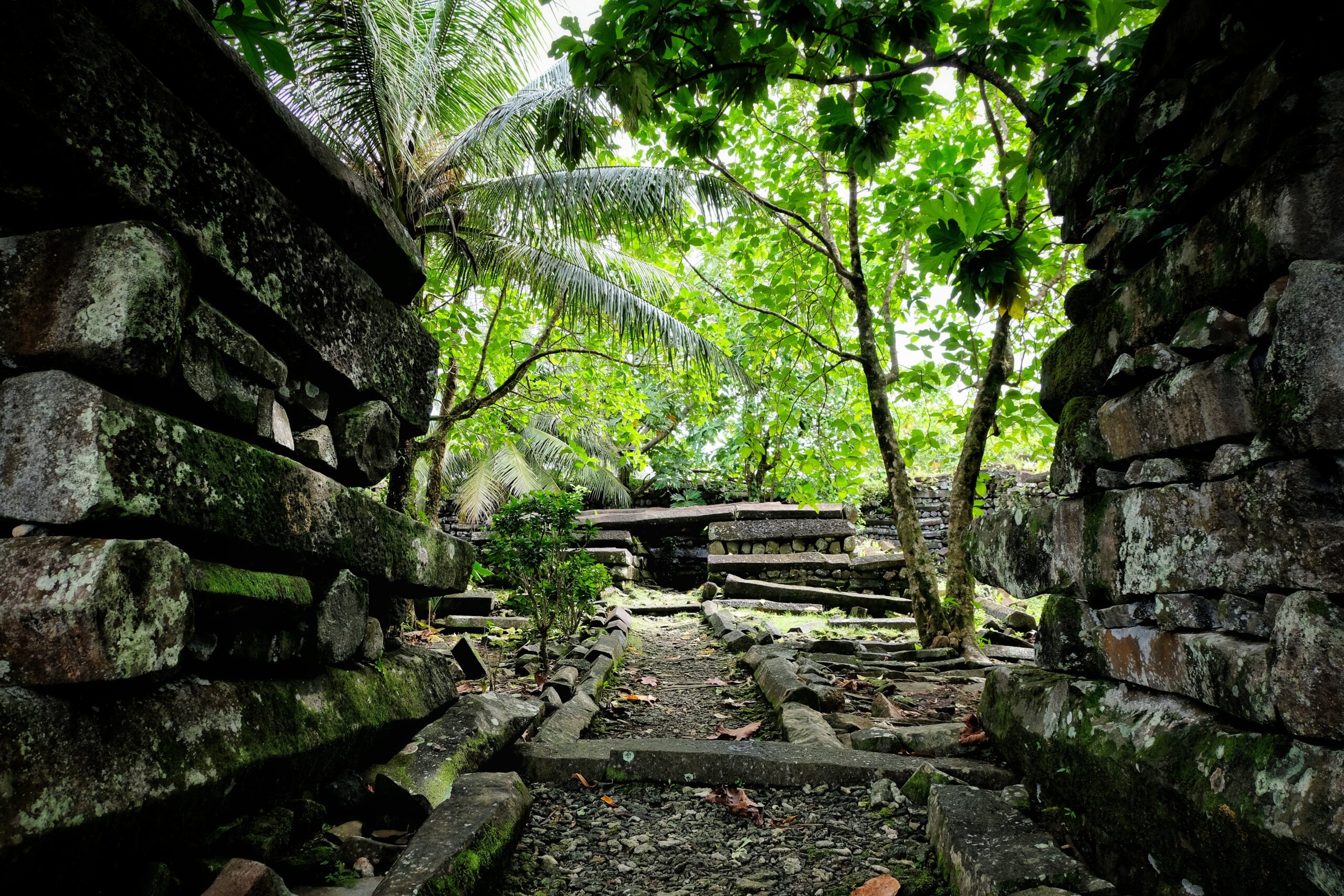 Nan Madol – an ancient city of basalt temples and canals, once the ceremonial and political centre of Micronesia.