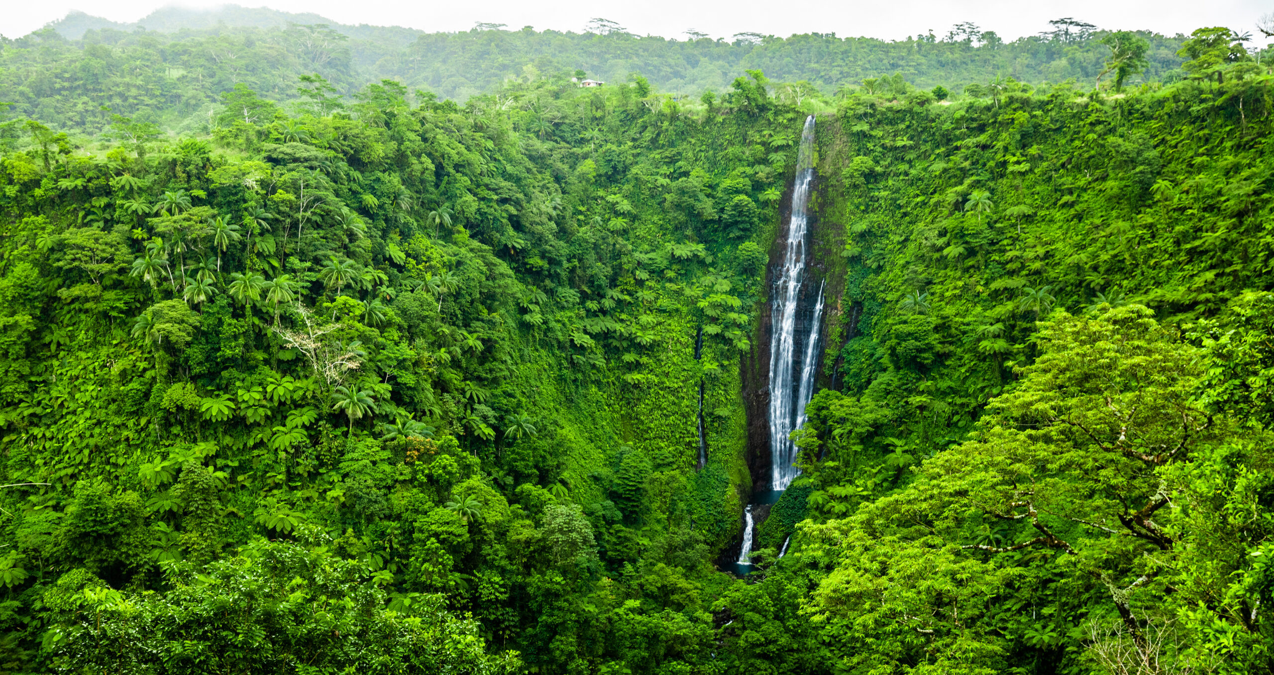 Papapapaitai Falls – a dramatic cascade plunging into a lush green gorge, one of Samoa’s most striking natural sights.