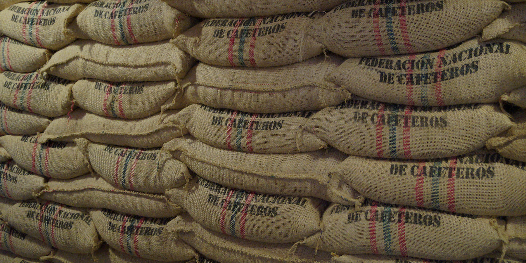 Learn about coffee cultivation in the Coffee region