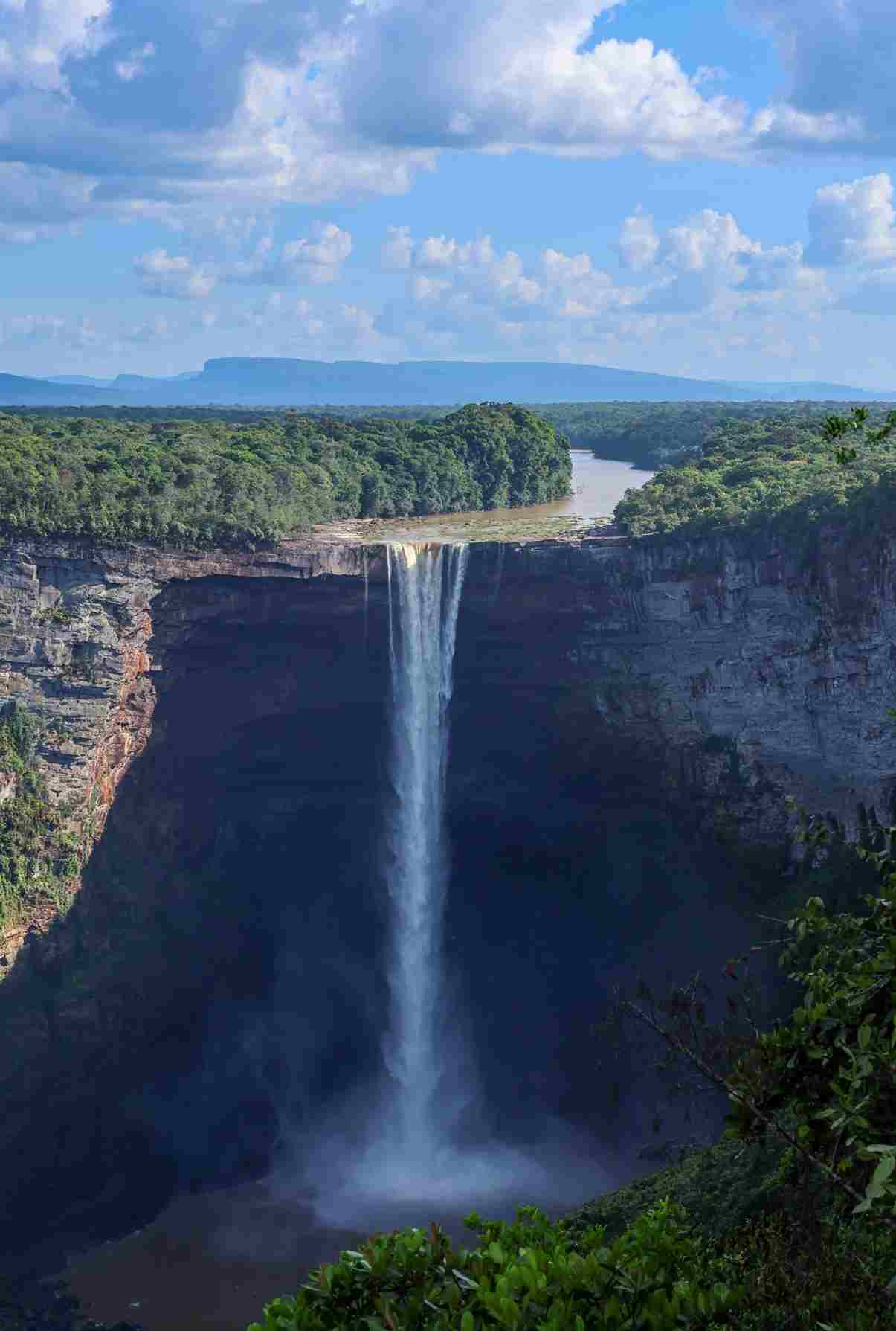 13-Day Hidden Guianas Adventure: A Travel Diary of Wildlife, Culture & Nature