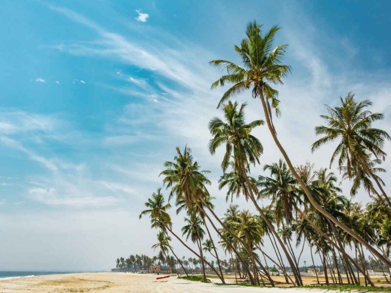 The Ultimate 11-Day Experience Guide: Best Things to Do in Oman