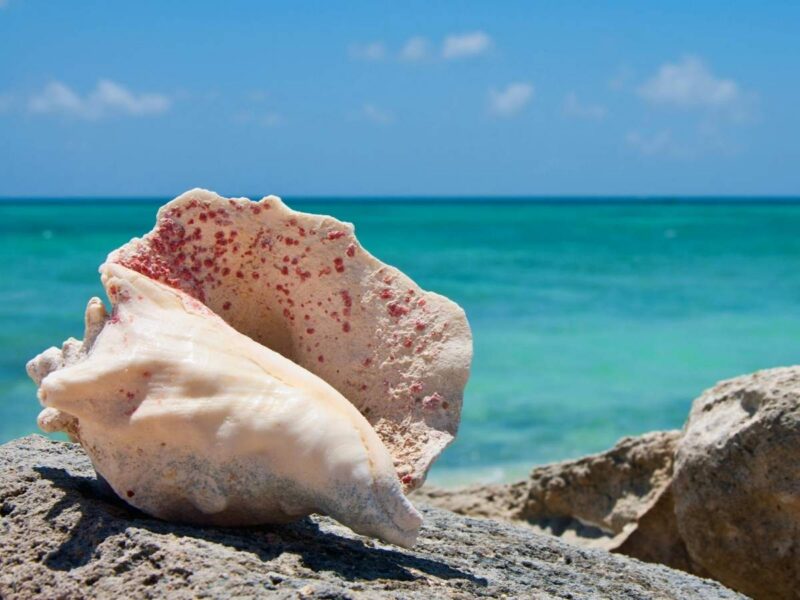 The Untouched Caribbean: Family Adventures Off the Beaten Track