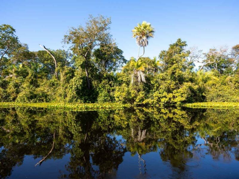 The Ultimate Off-the-Beaten-Track Travel Guide for Brazil