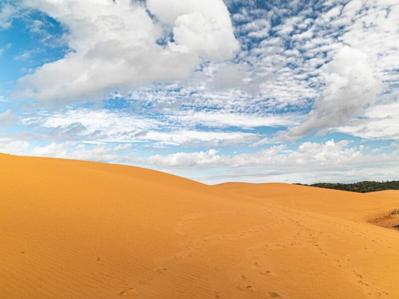 The Ultimate Off-the-Beaten-Track Travel Guide for Brazil