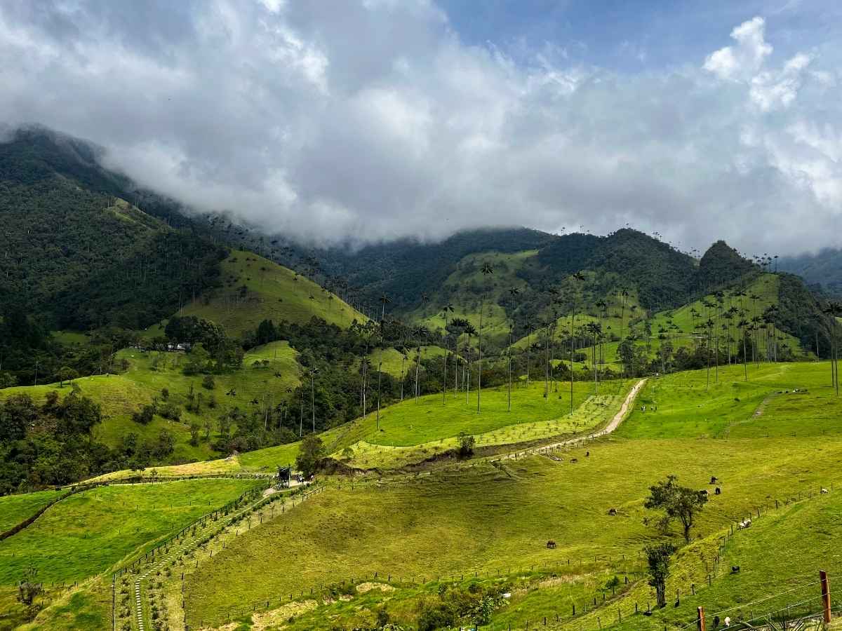 Coffee, Cacao and Conquistadors – A Colombian Journey