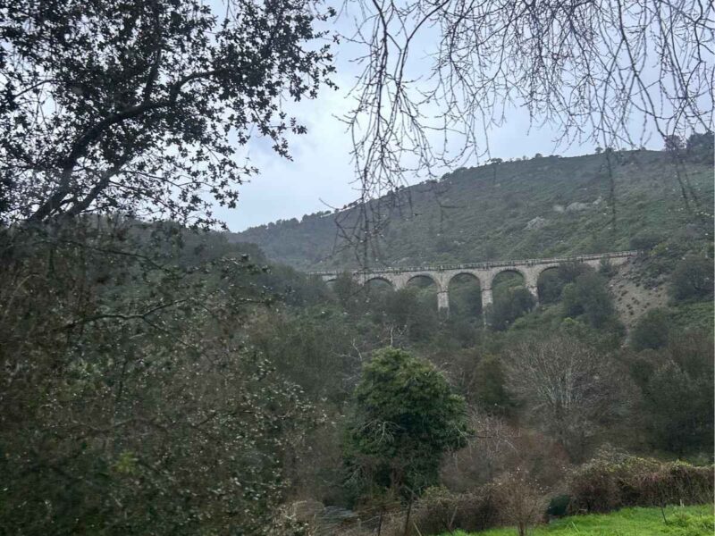 viaduct/bridge through green valley