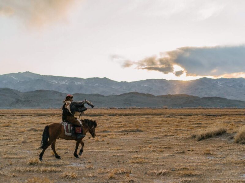 Mongolia horse riding steppe
