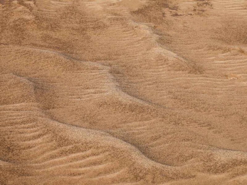 Khongoryn Els sand dunes Mongolia