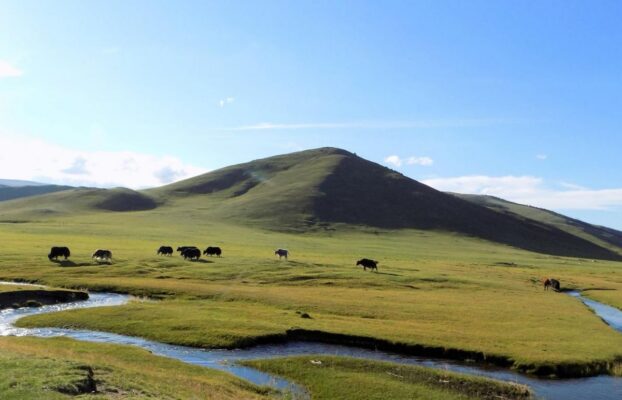 Best Time to Visit Mongolia: Climate, Festivals, and Travel Tips