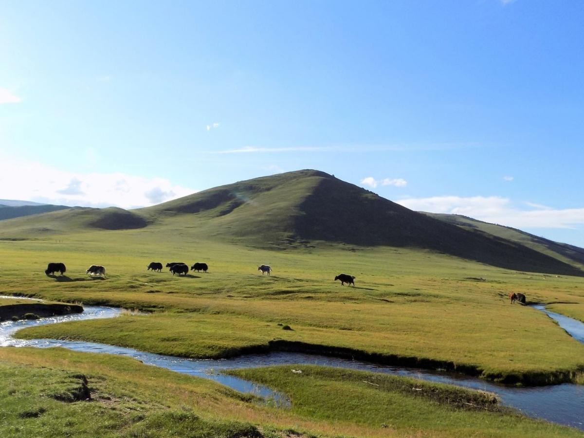 Best Time to Visit Mongolia: Climate, Festivals, and Travel Tips