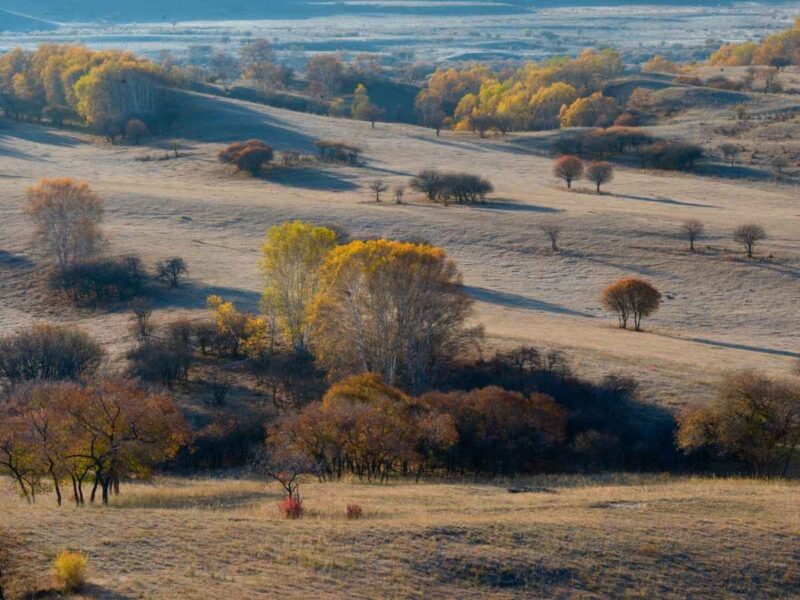 Autumn at Inner Mongolia