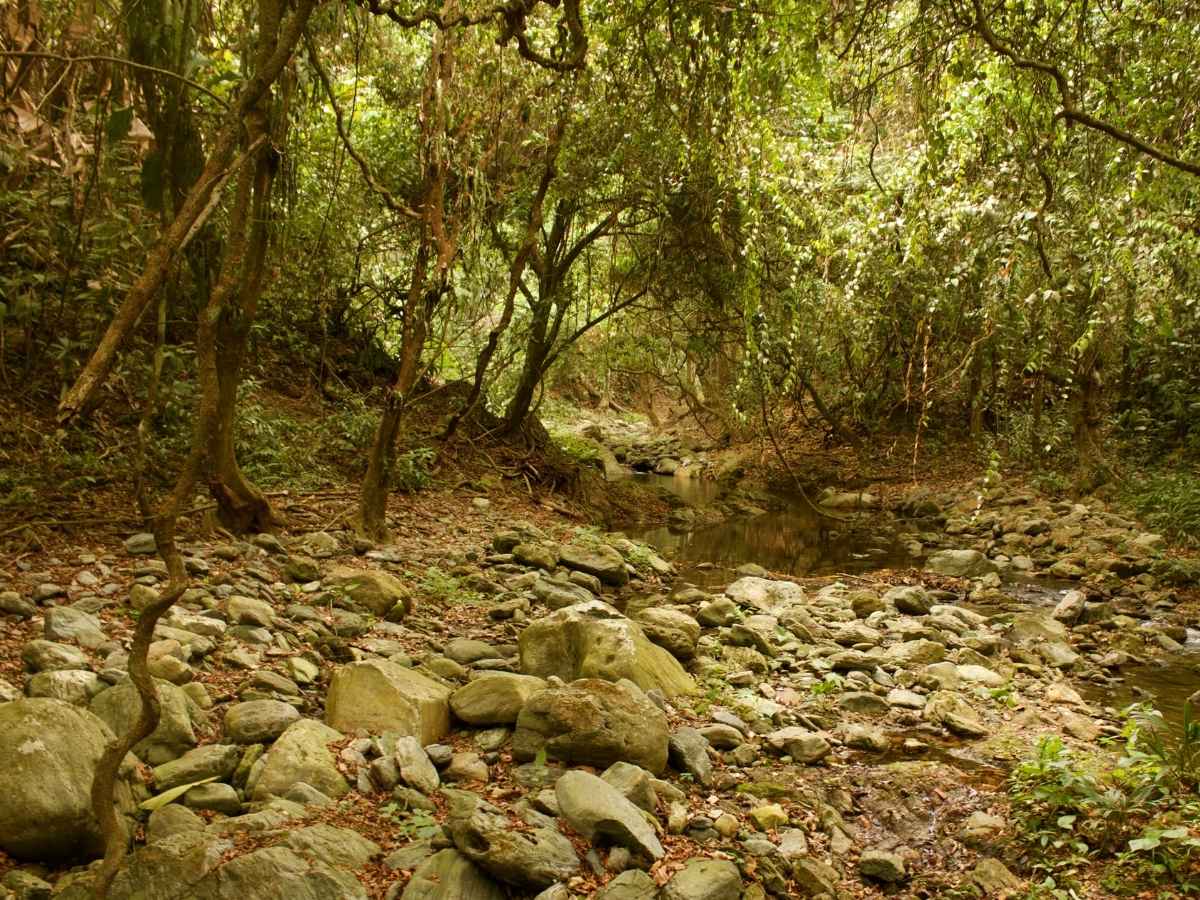 Ciudad Perdida hike in Colombia