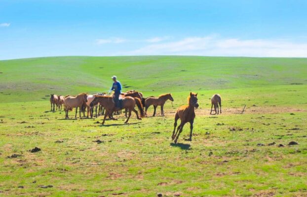 The Most Interesting Places to Visit in Mongolia Right Now